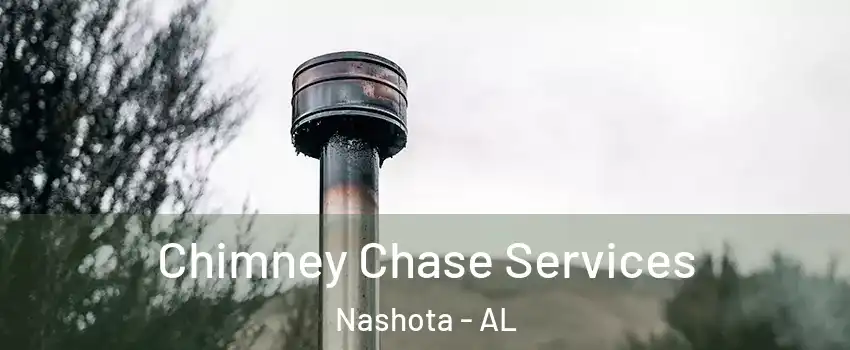 Chimney Chase Services Nashota - AL
