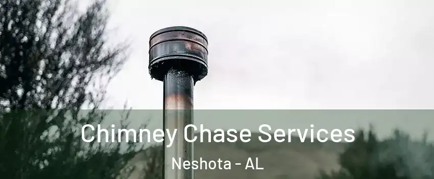 Chimney Chase Services Neshota - AL