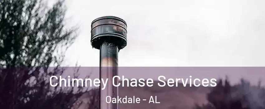 Chimney Chase Services Oakdale - AL