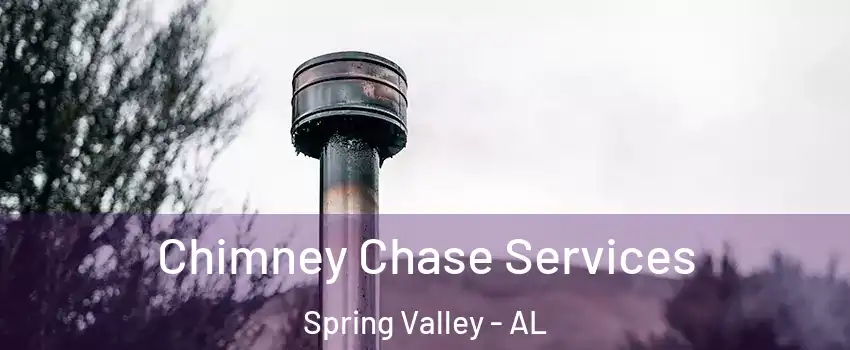 Chimney Chase Services Spring Valley - AL