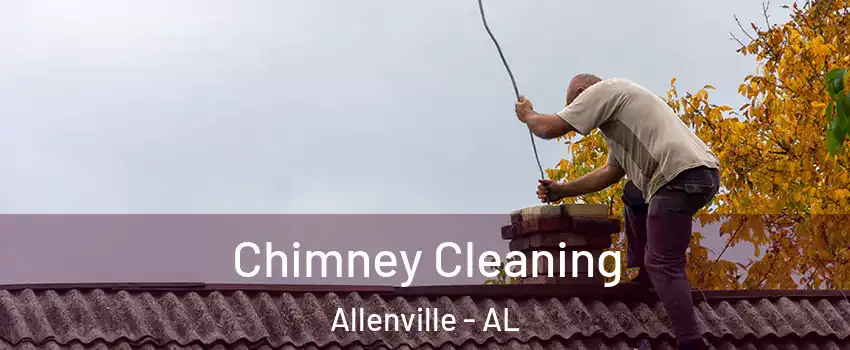 Chimney Cleaning Allenville - AL