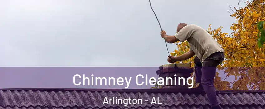 Chimney Cleaning Arlington - AL