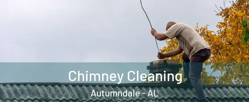 Chimney Cleaning Autumndale - AL