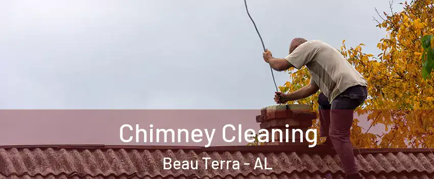 Chimney Cleaning Beau Terra - AL