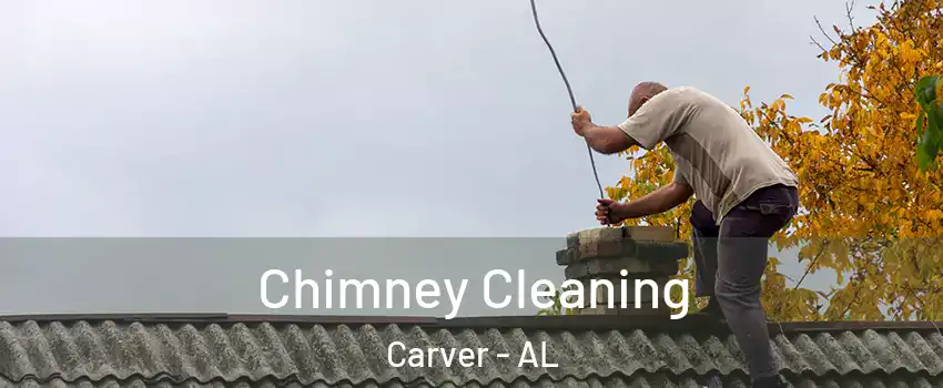 Chimney Cleaning Carver - AL