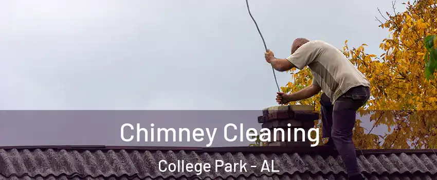 Chimney Cleaning College Park - AL