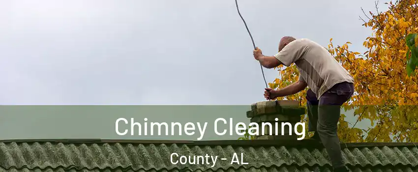 Chimney Cleaning County - AL