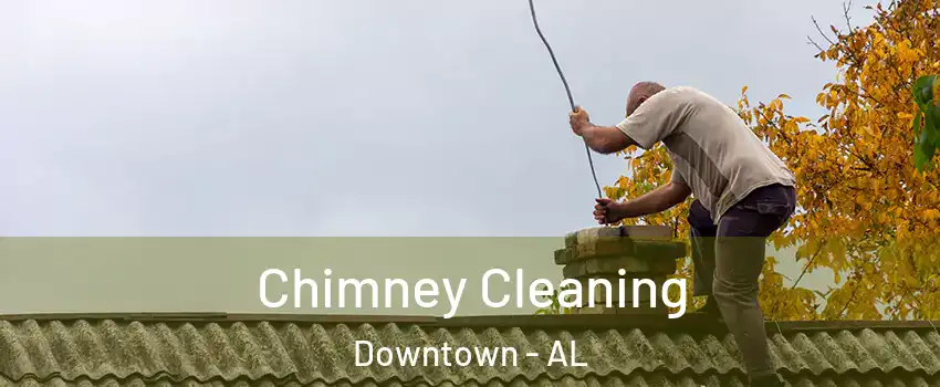 Chimney Cleaning Downtown - AL