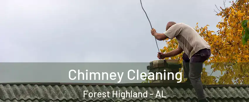 Chimney Cleaning Forest Highland - AL
