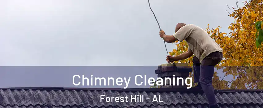 Chimney Cleaning Forest Hill - AL