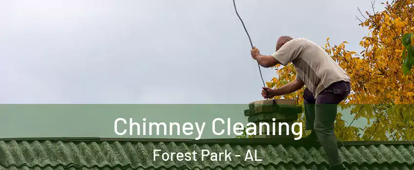 Chimney Cleaning Forest Park - AL