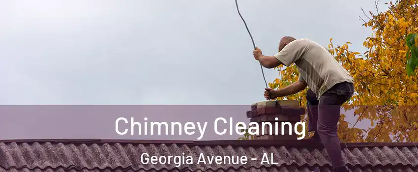 Chimney Cleaning Georgia Avenue - AL