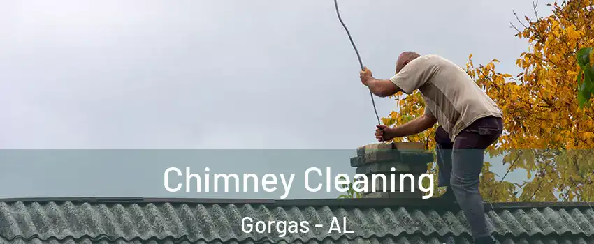 Chimney Cleaning Gorgas - AL