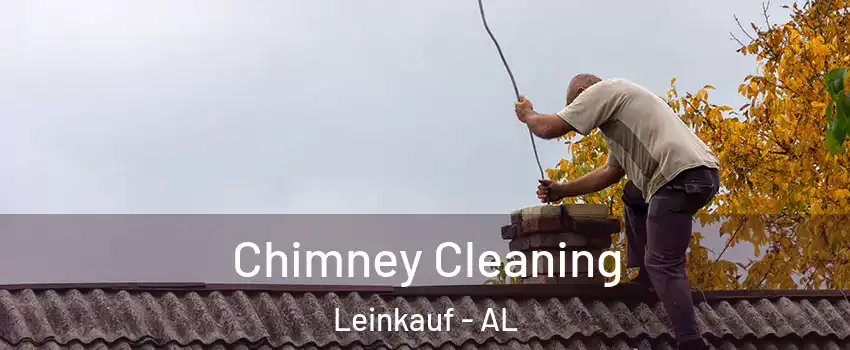 Chimney Cleaning Leinkauf - AL