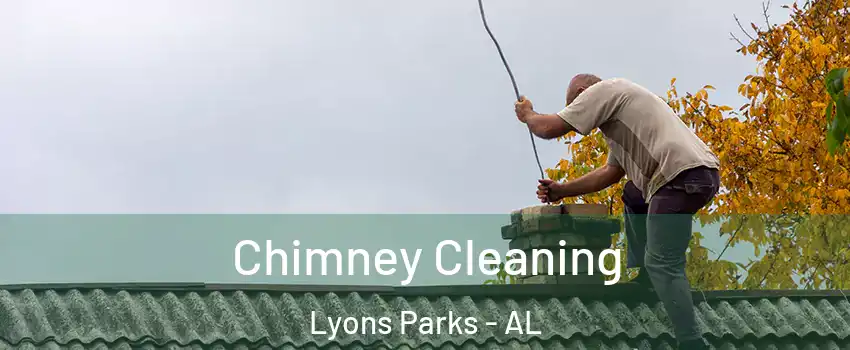 Chimney Cleaning Lyons Parks - AL