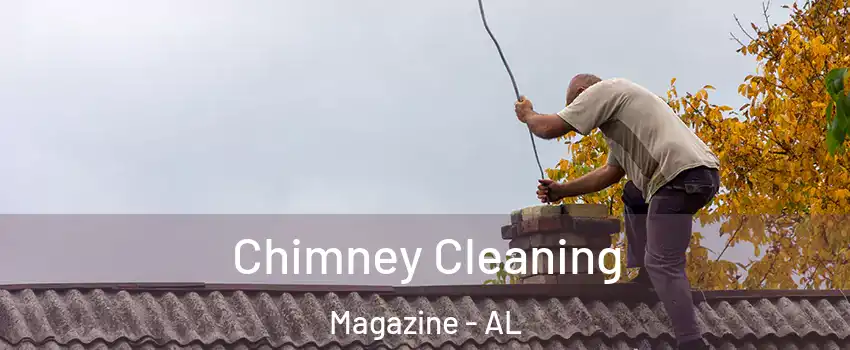 Chimney Cleaning Magazine - AL