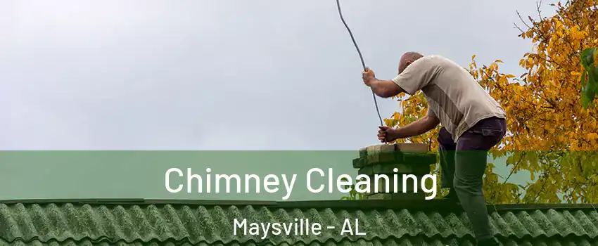 Chimney Cleaning Maysville - AL