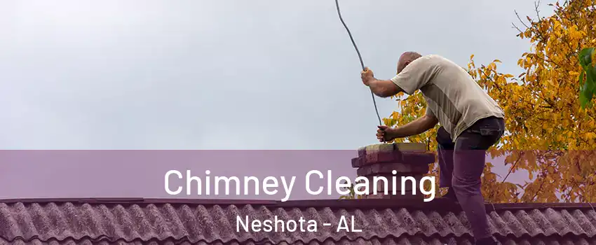 Chimney Cleaning Neshota - AL