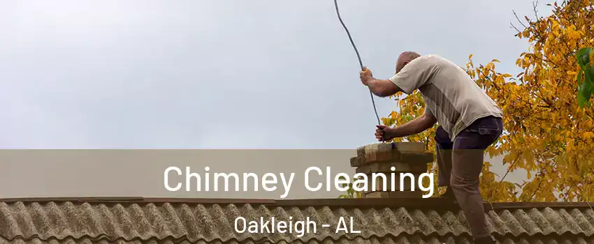 Chimney Cleaning Oakleigh - AL