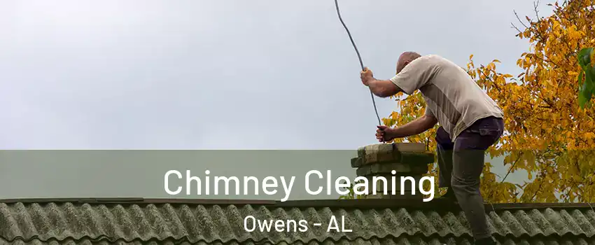 Chimney Cleaning Owens - AL