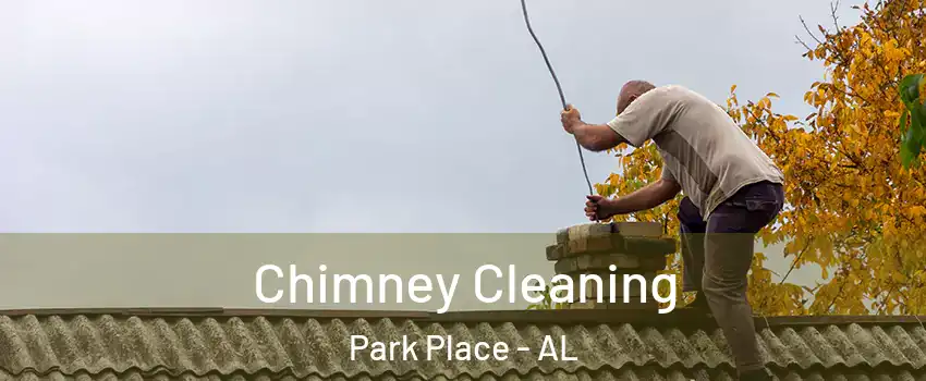 Chimney Cleaning Park Place - AL