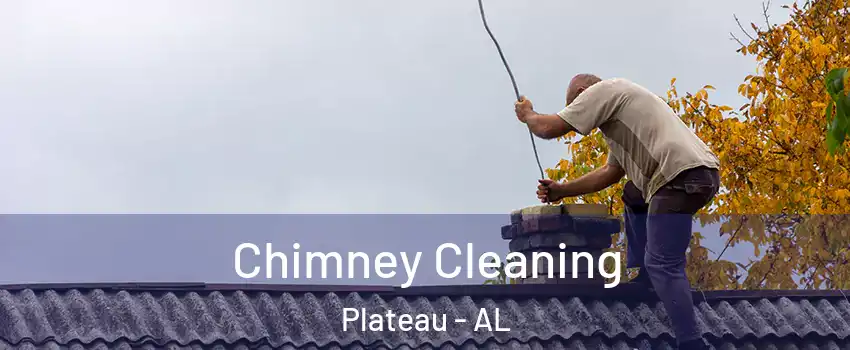 Chimney Cleaning Plateau - AL