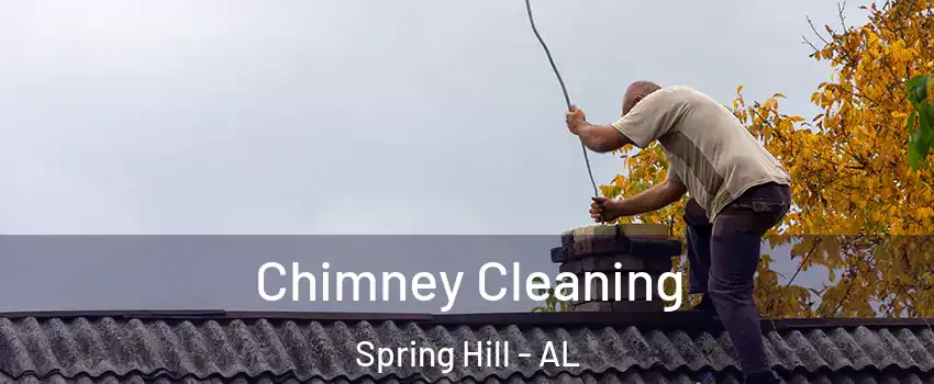 Chimney Cleaning Spring Hill - AL
