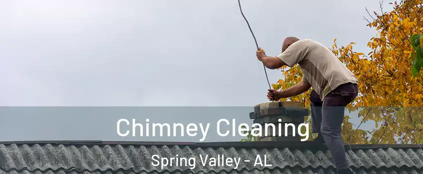 Chimney Cleaning Spring Valley - AL