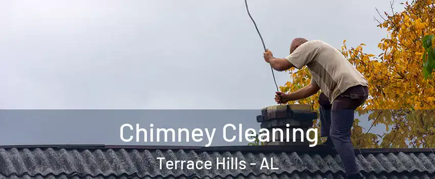 Chimney Cleaning Terrace Hills - AL