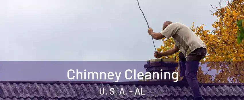 Chimney Cleaning U. S. A. - AL