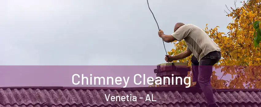 Chimney Cleaning Venetia - AL