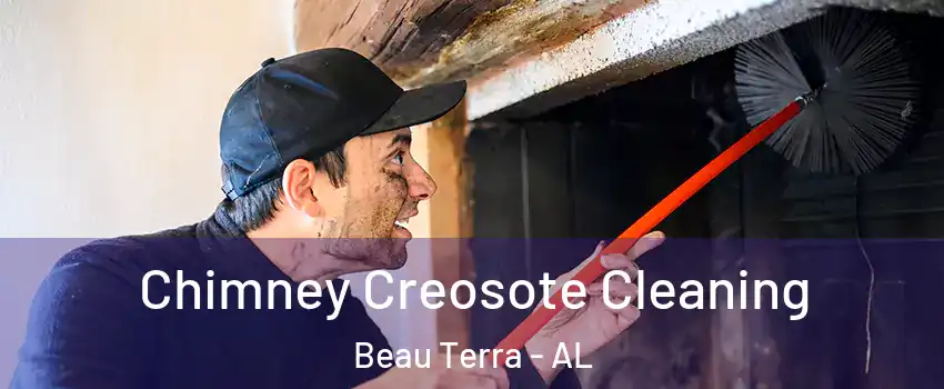 Chimney Creosote Cleaning Beau Terra - AL