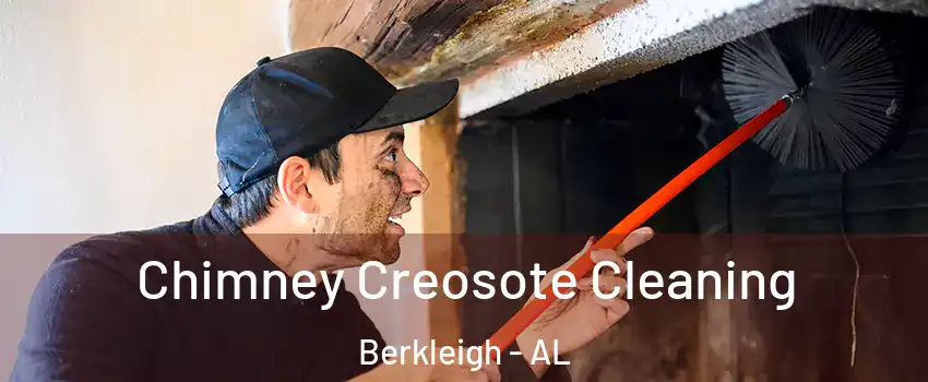 Chimney Creosote Cleaning Berkleigh - AL