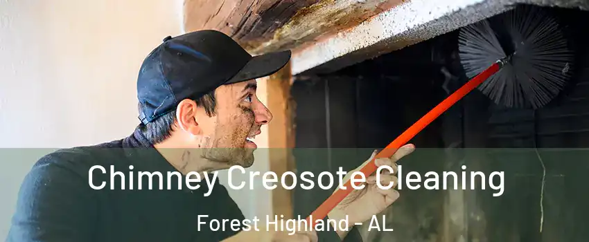 Chimney Creosote Cleaning Forest Highland - AL