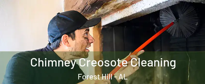 Chimney Creosote Cleaning Forest Hill - AL