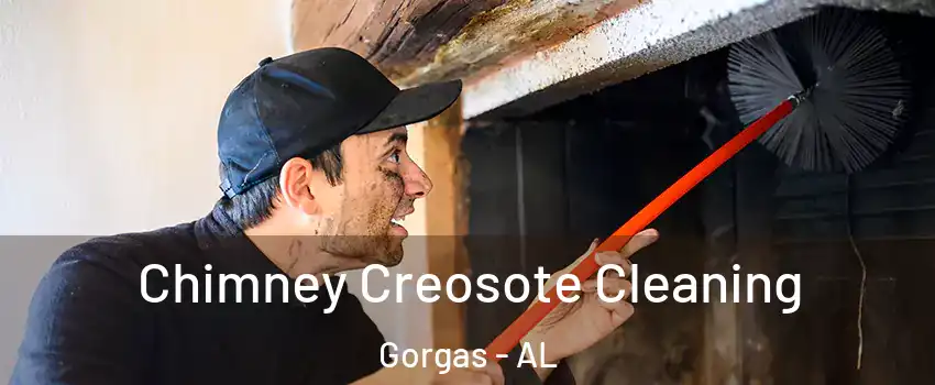 Chimney Creosote Cleaning Gorgas - AL