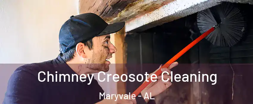 Chimney Creosote Cleaning Maryvale - AL