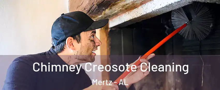 Chimney Creosote Cleaning Mertz - AL