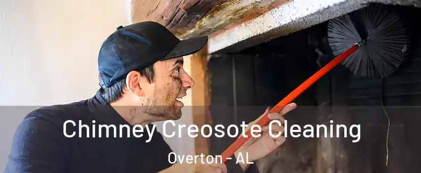 Chimney Creosote Cleaning Overton - AL