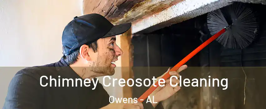 Chimney Creosote Cleaning Owens - AL