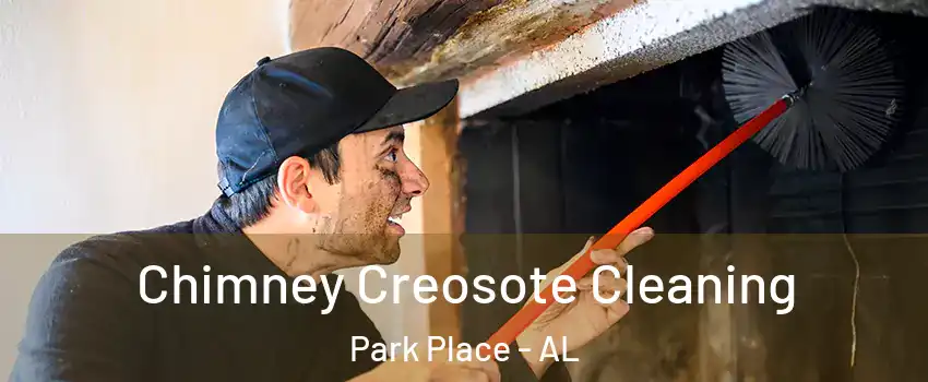 Chimney Creosote Cleaning Park Place - AL