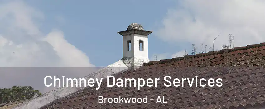 Chimney Damper Services Brookwood - AL