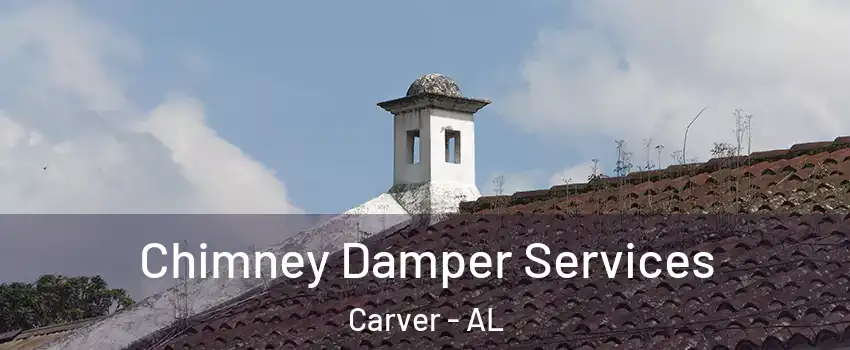 Chimney Damper Services Carver - AL