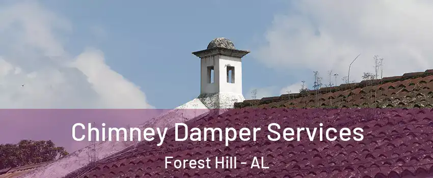 Chimney Damper Services Forest Hill - AL