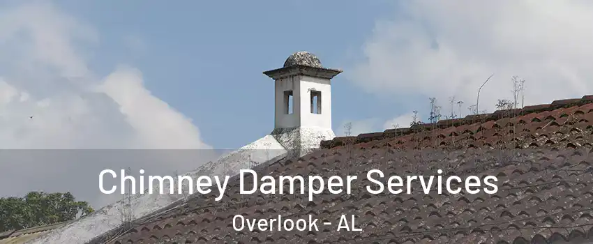Chimney Damper Services Overlook - AL