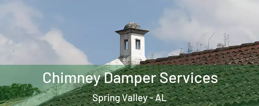 Chimney Damper Services Spring Valley - AL