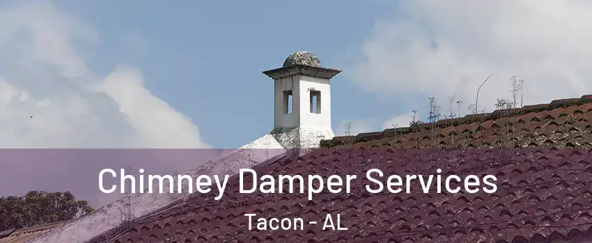 Chimney Damper Services Tacon - AL