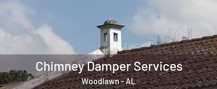 Chimney Damper Services Woodlawn - AL