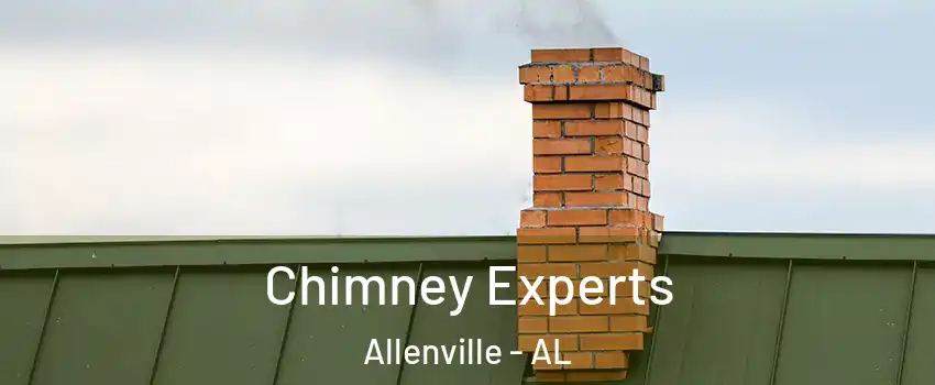 Chimney Experts Allenville - AL