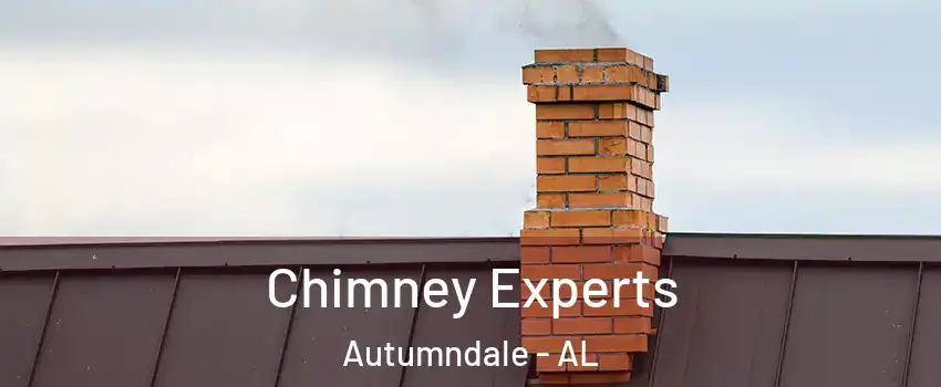 Chimney Experts Autumndale - AL